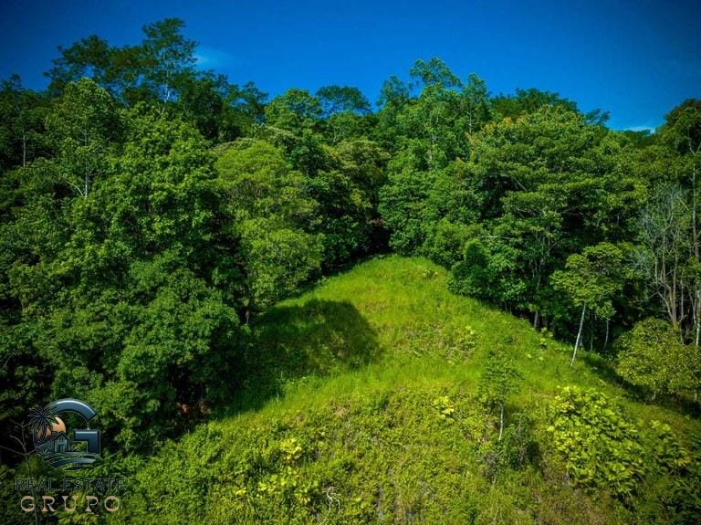 ll2300368_img-15_large