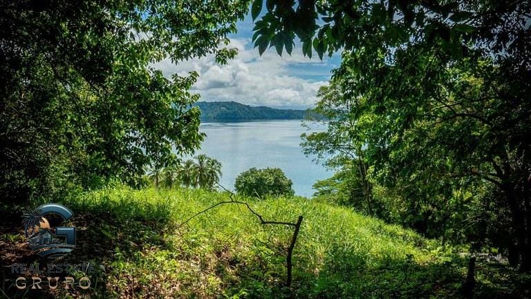 ll2300368_img-18_large