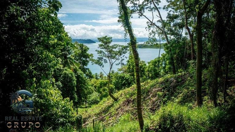 ll2300368_img-19_large