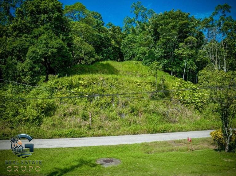 ll2300368_img-2_large