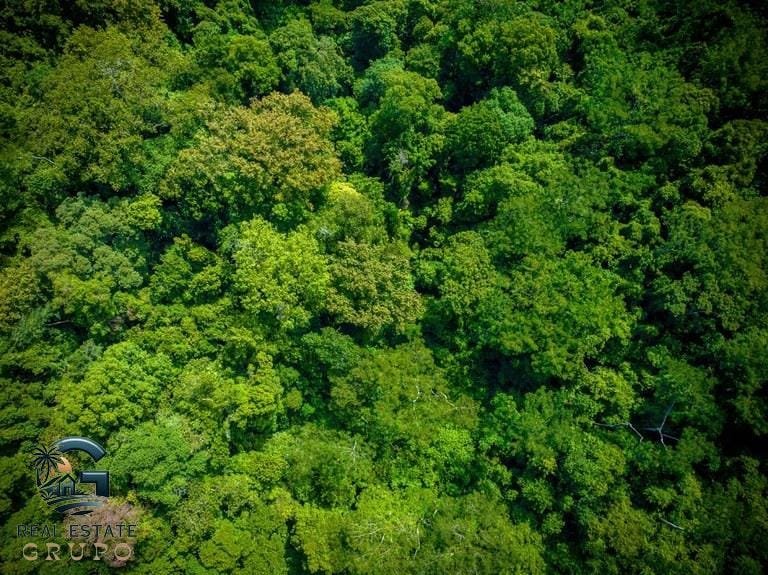 ll2300368_img-3_large