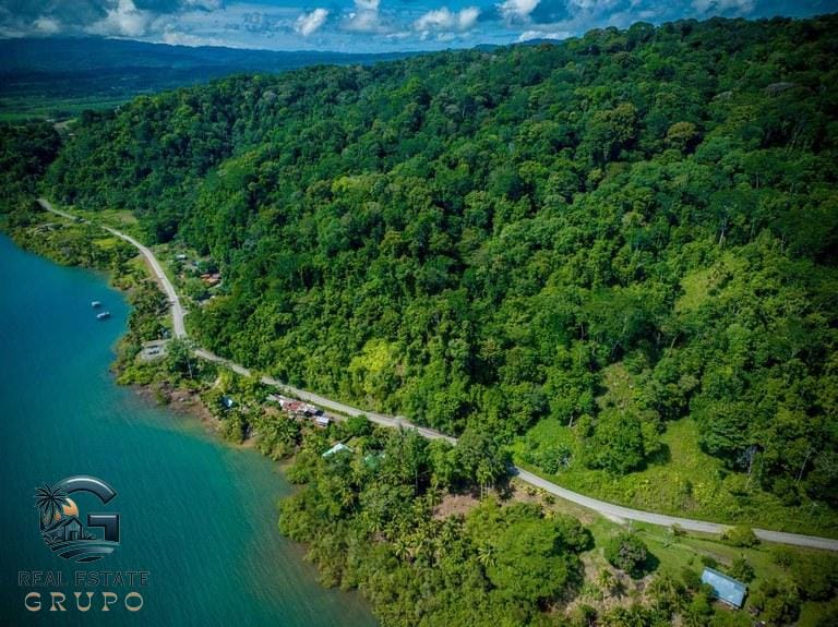 ll2300368_img-8_large