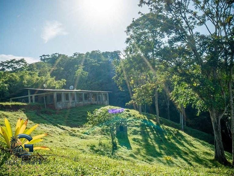 ll2300374_img-10_large