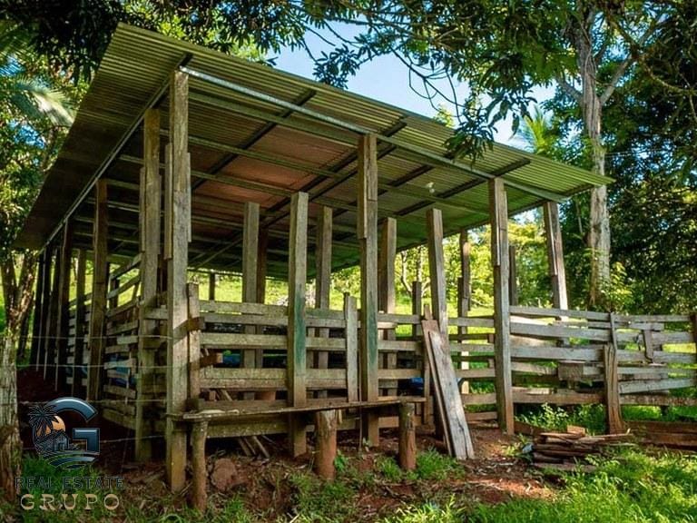 ll2300374_img-13_large