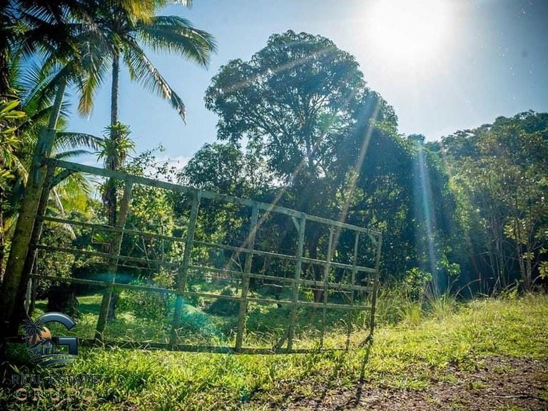 ll2300374_img-14_large