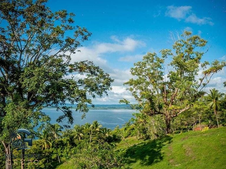 ll2300374_img-16_large