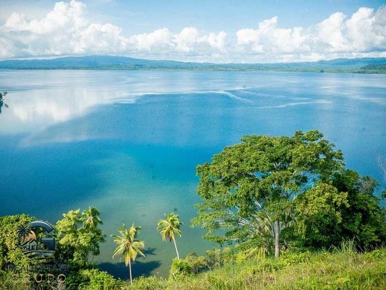 ll2300374_img-37_large