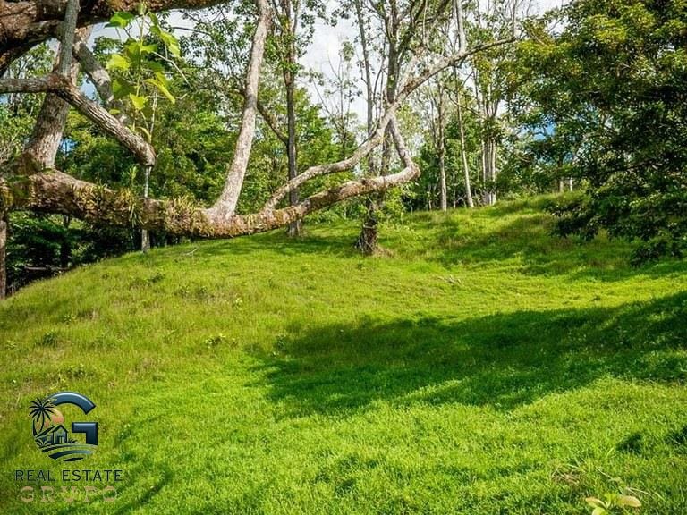 ll2300374_img-38_large