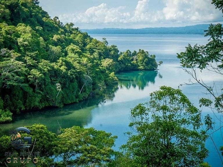 ll2300374_img-40_large