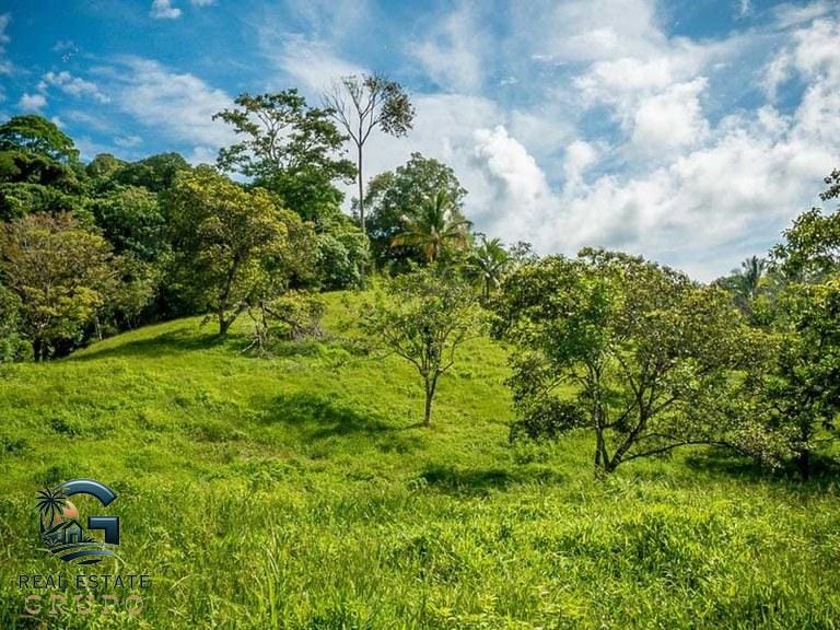 ll2300374_img-42_large