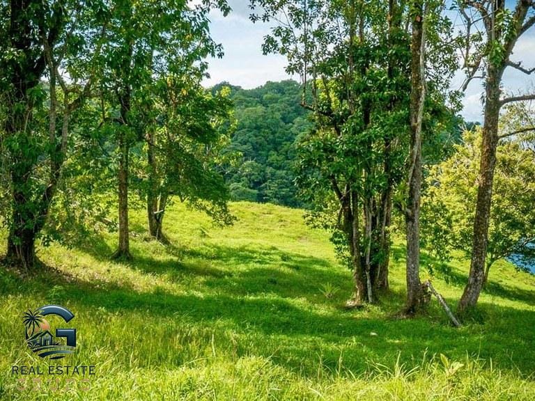 ll2300374_img-44_large