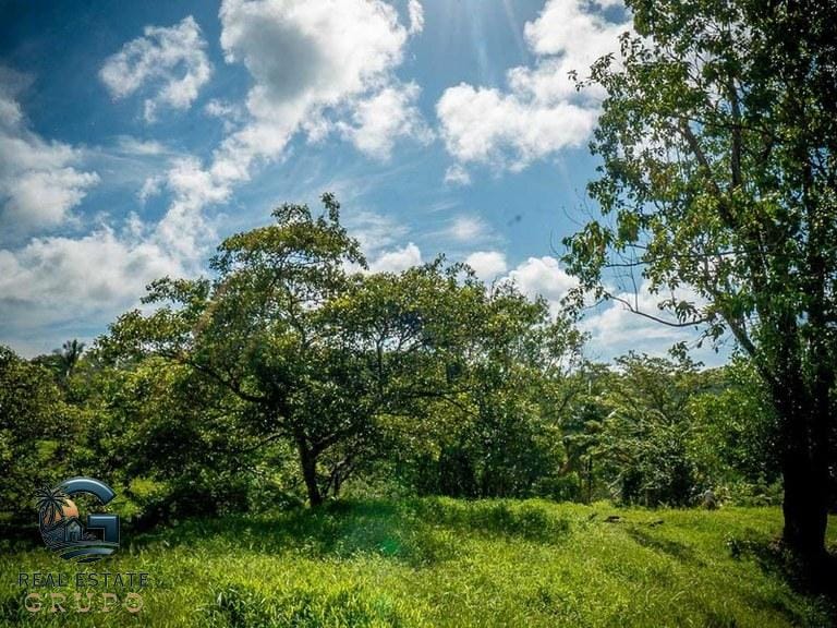 ll2300374_img-45_large