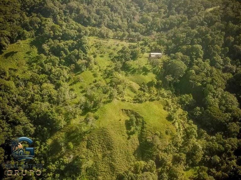 ll2300374_img-6_large