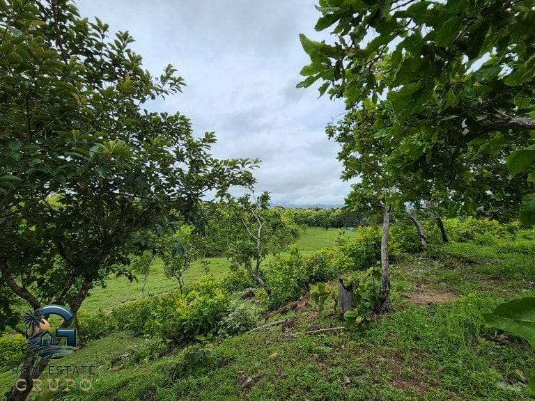 ll2300472_img-10_large-min