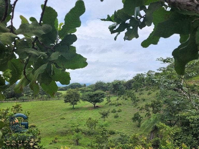 ll2300472_img-5_large-min