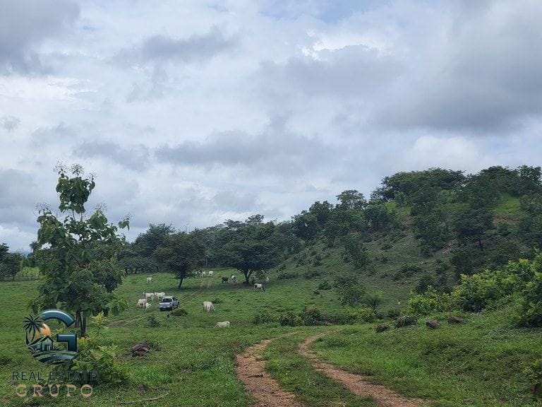 ll2300472_img-6_large-min