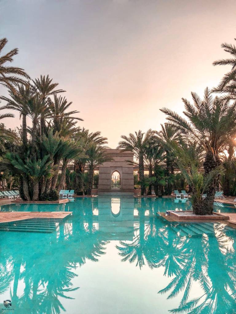 pexels-vincent-rivaud-2227774