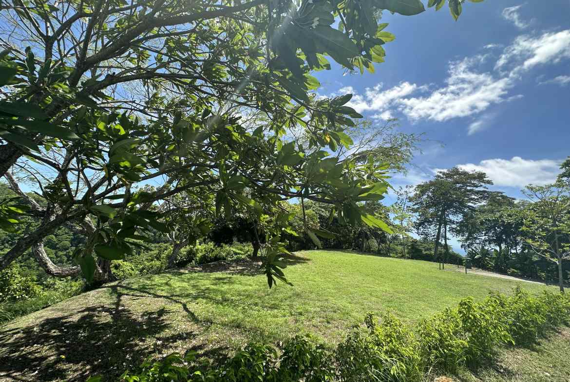 photo_20-6-23_2_28_30_pm-min