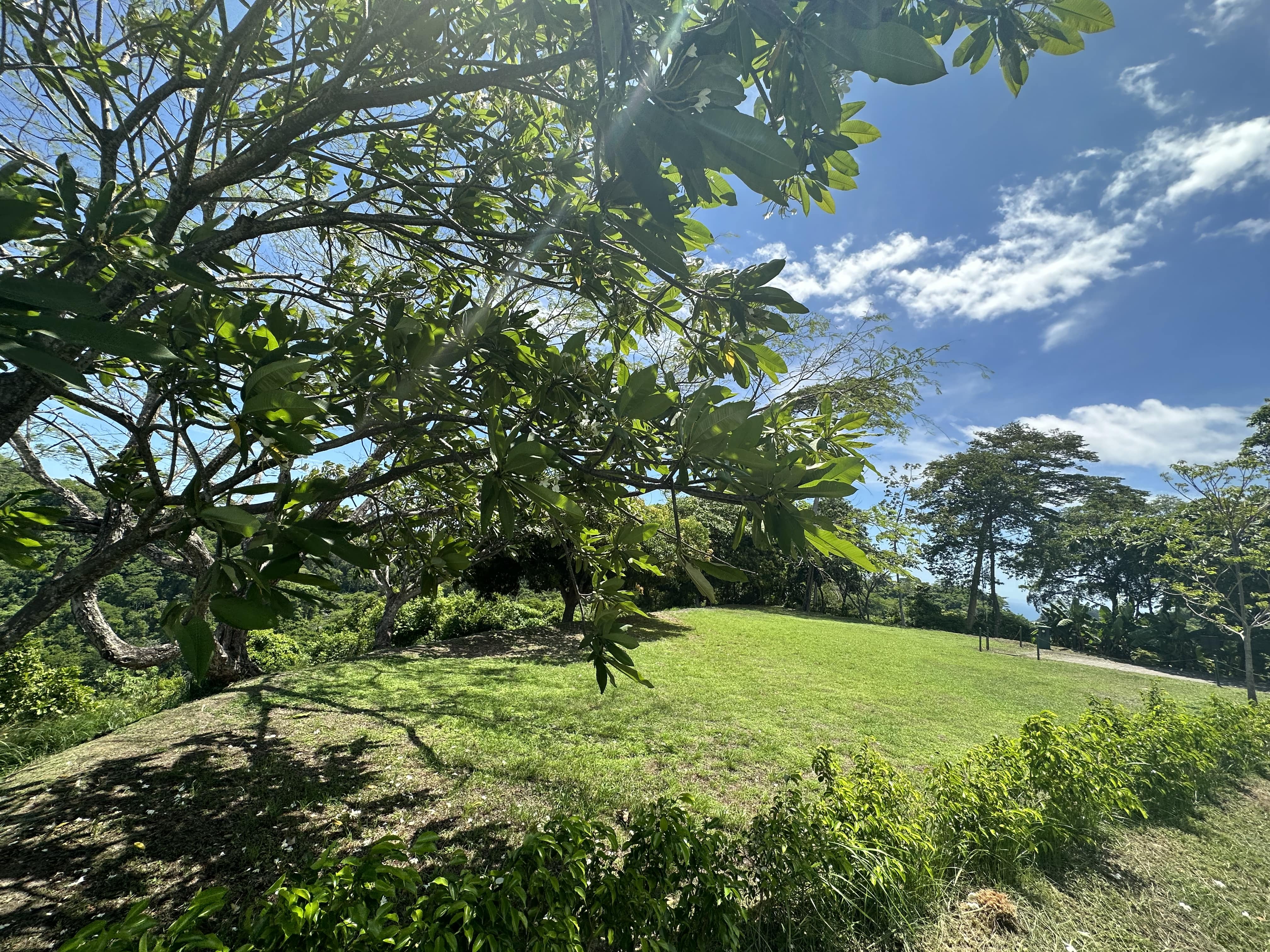 photo_20-6-23_2_28_30_pm-min