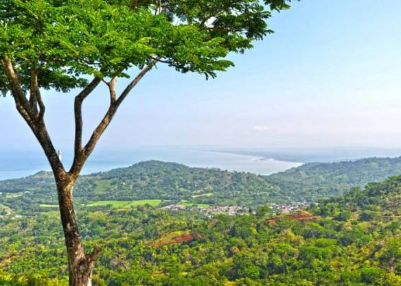 rst-4979web-e1435171397741-min