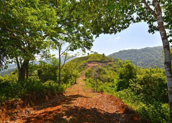 rst-5022web-e1435170896236-min