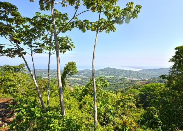 rst-5029web-e1435170842324-min