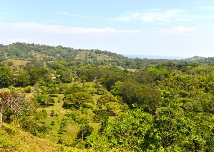 rst-5050web-e1435170804631-min