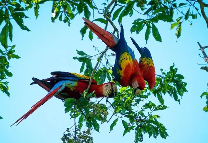 things-to-do-in-jaco-14_CKTmwUWz3