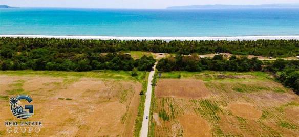 zancudo-rice-farm-26-of-43-980x450