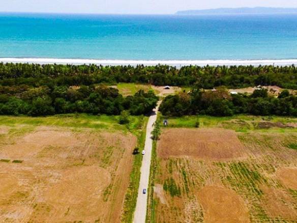 zancudo-rice-farm-26-of-43-980x450