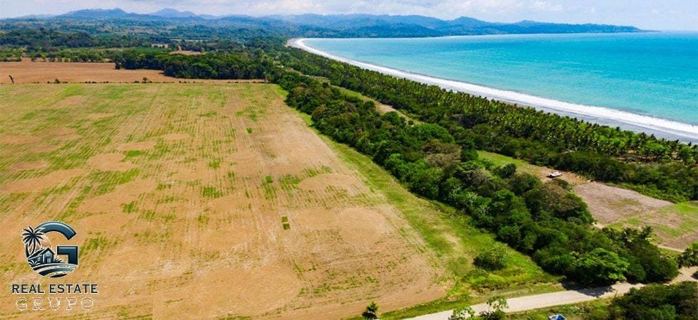 zancudo-rice-farm-28-of-43-980x450