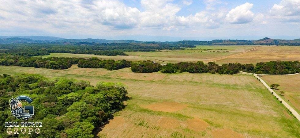 zancudo-rice-farm-29-of-43-980x450