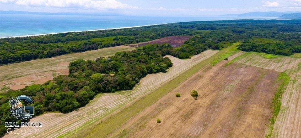 zancudo-rice-farm-32-of-43-980x450