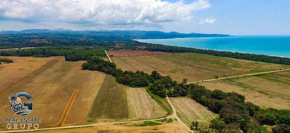 zancudo-rice-farm-33-of-43-980x450