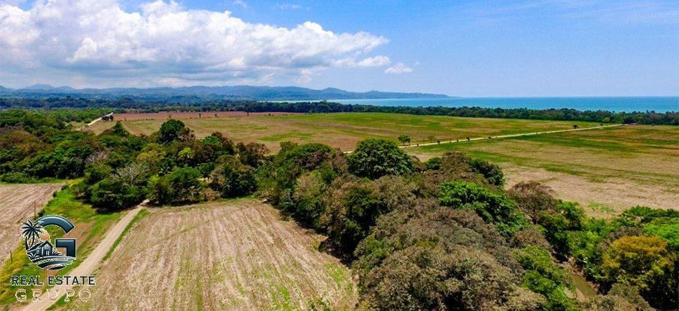 zancudo-rice-farm-39-of-43-980x450