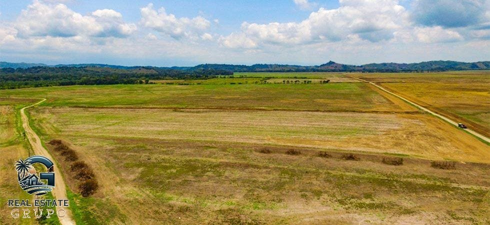 zancudo-rice-farm-42-of-43-980x450