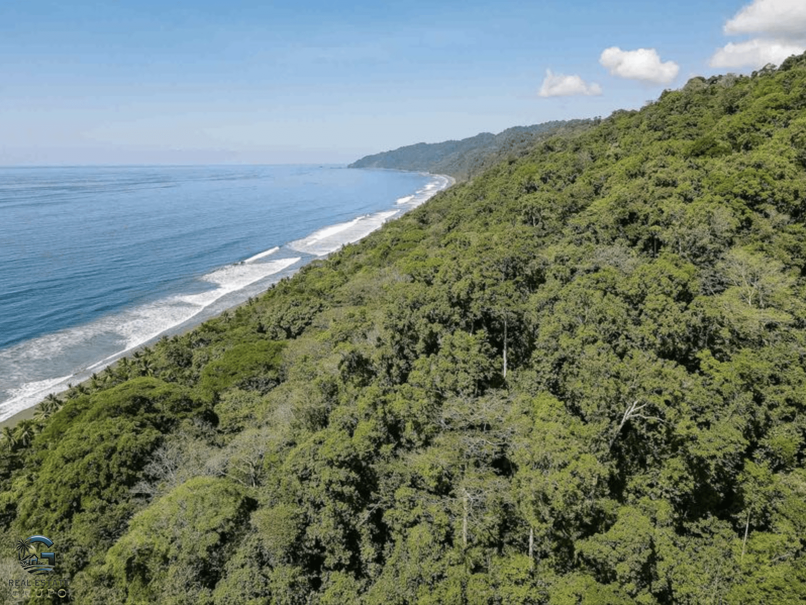 צילום מסך 2024-02-01 ב-10.07.50