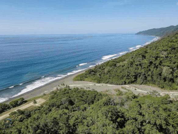 צילום מסך 2024-02-01 ב-10.07.57