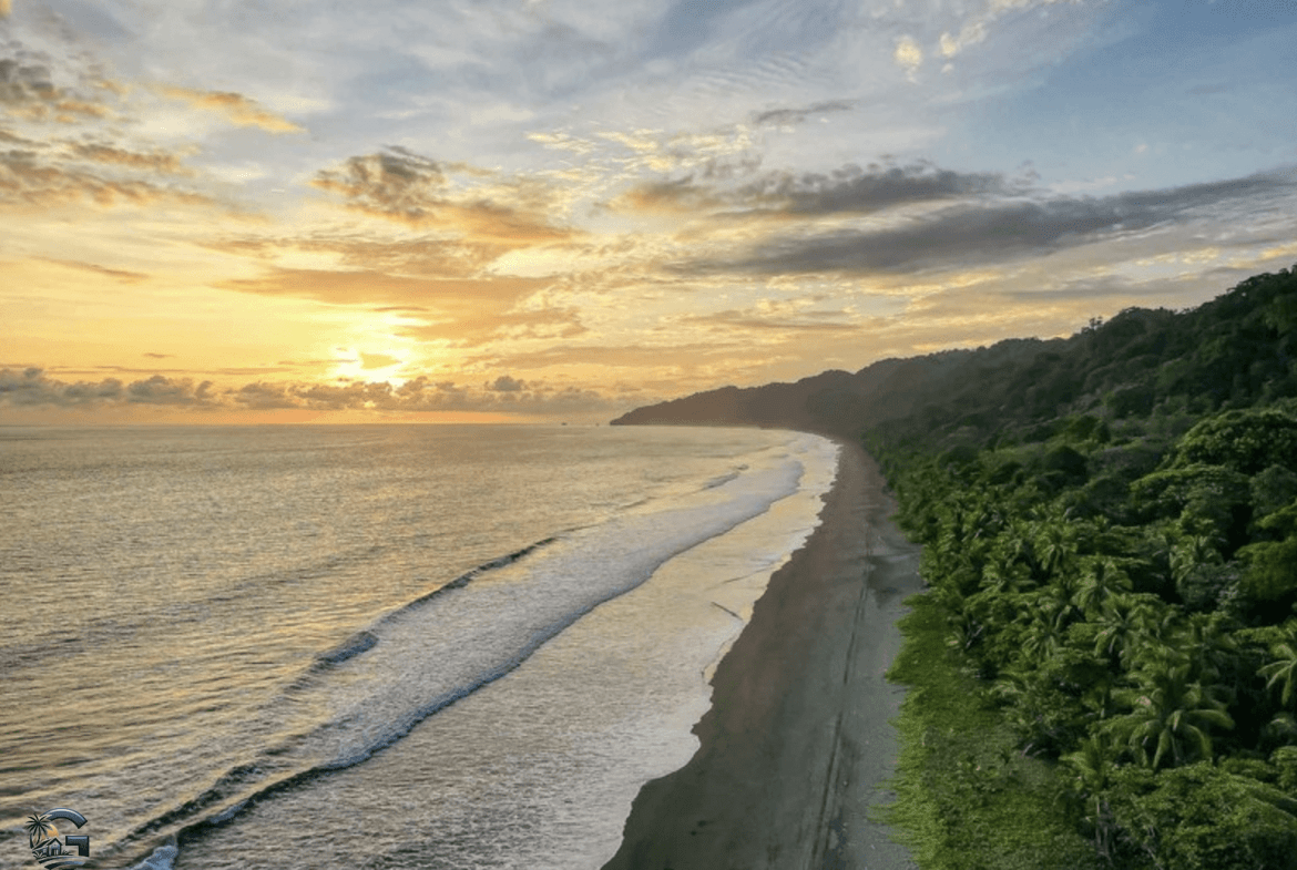 צילום מסך 2024-02-01 ב-10.08.29