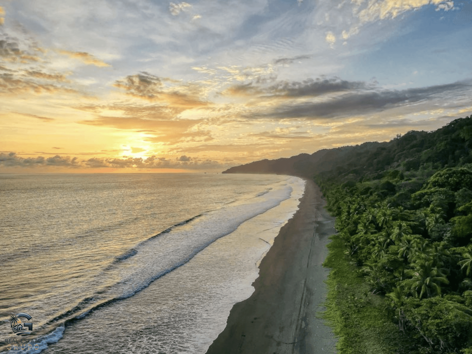 צילום מסך 2024-02-01 ב-10.08.29