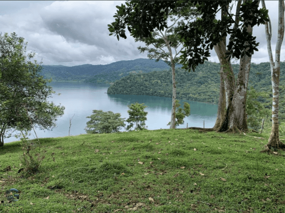 צילום מסך 2024-02-02 ב-11.25.25