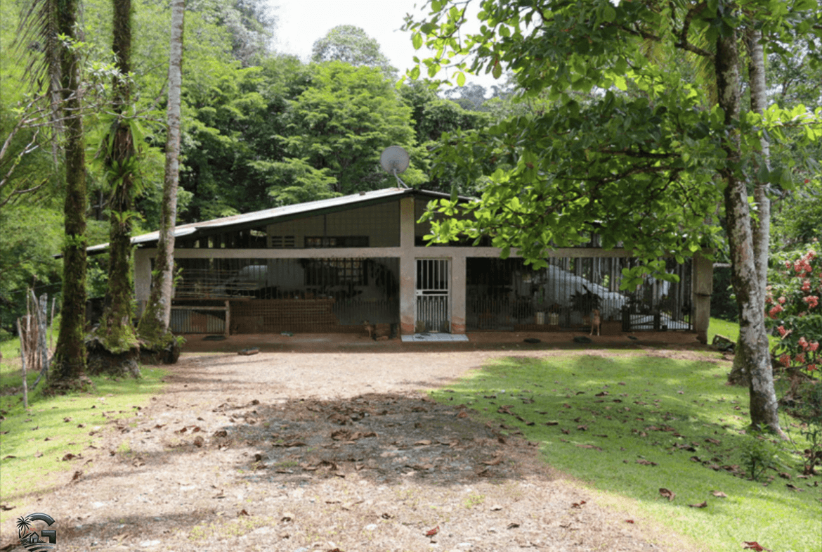 צילום מסך 2024-02-02 ב-11.38.07