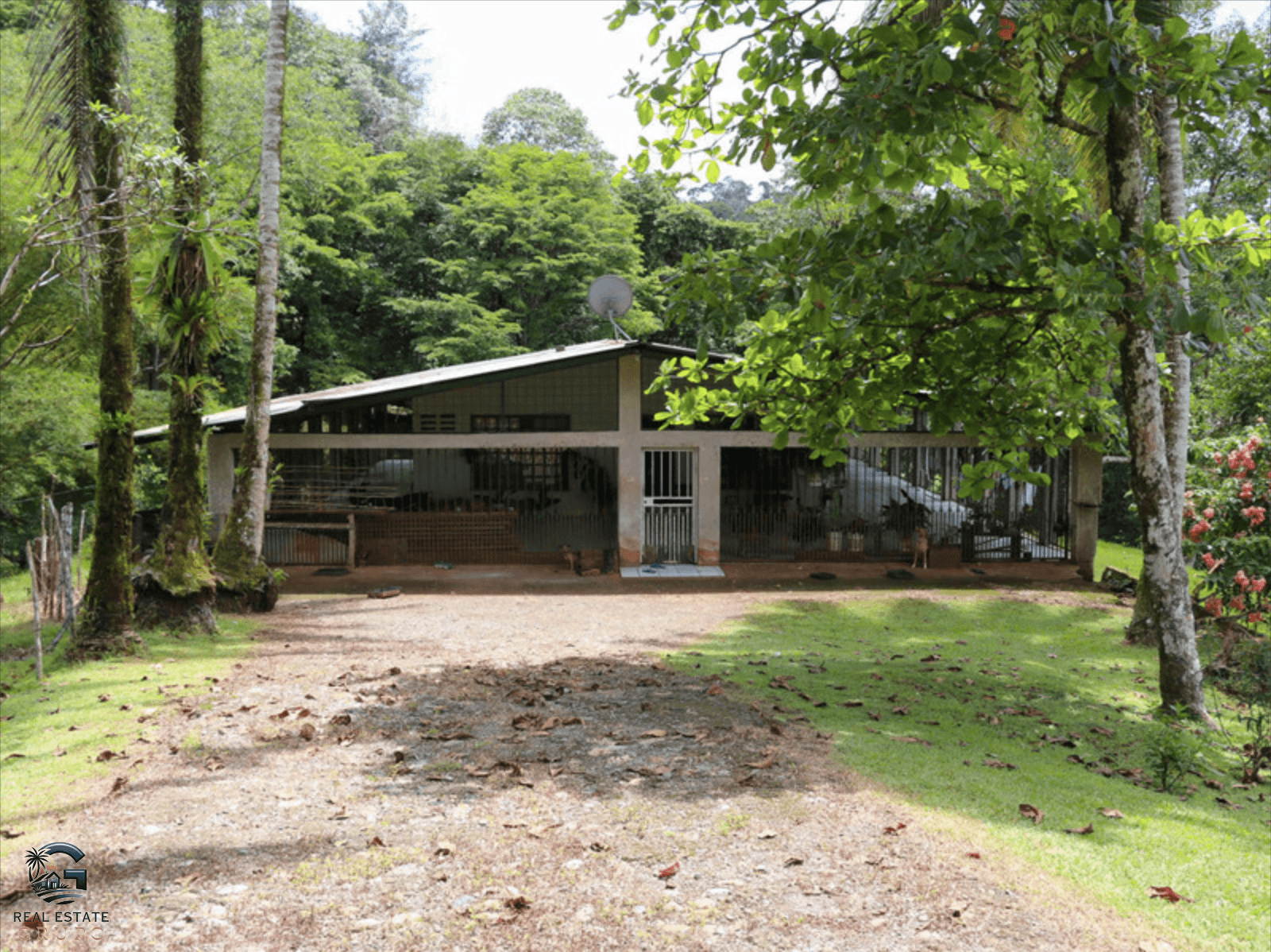 צילום מסך 2024-02-02 ב-11.38.07