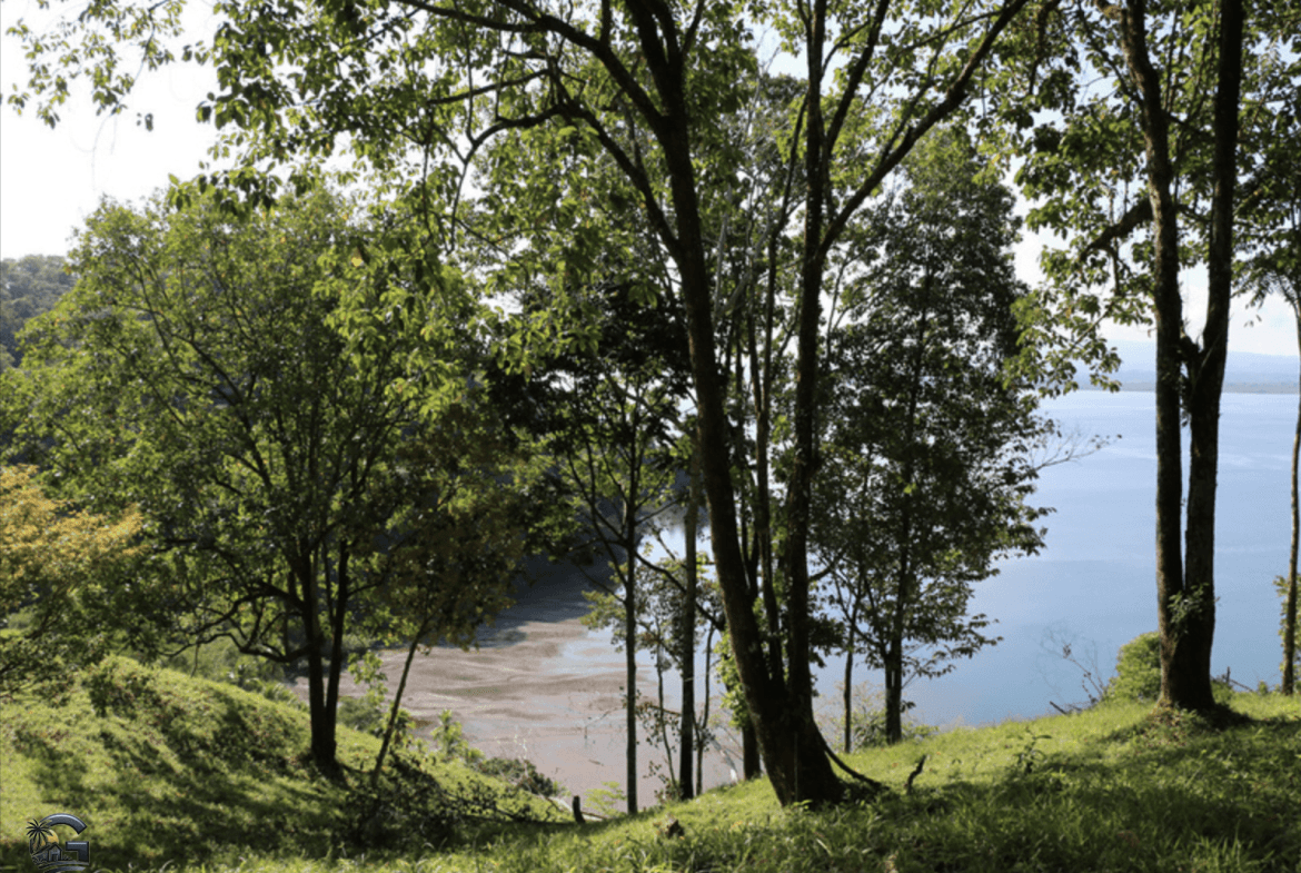 צילום מסך 2024-02-02 ב-11.38.24