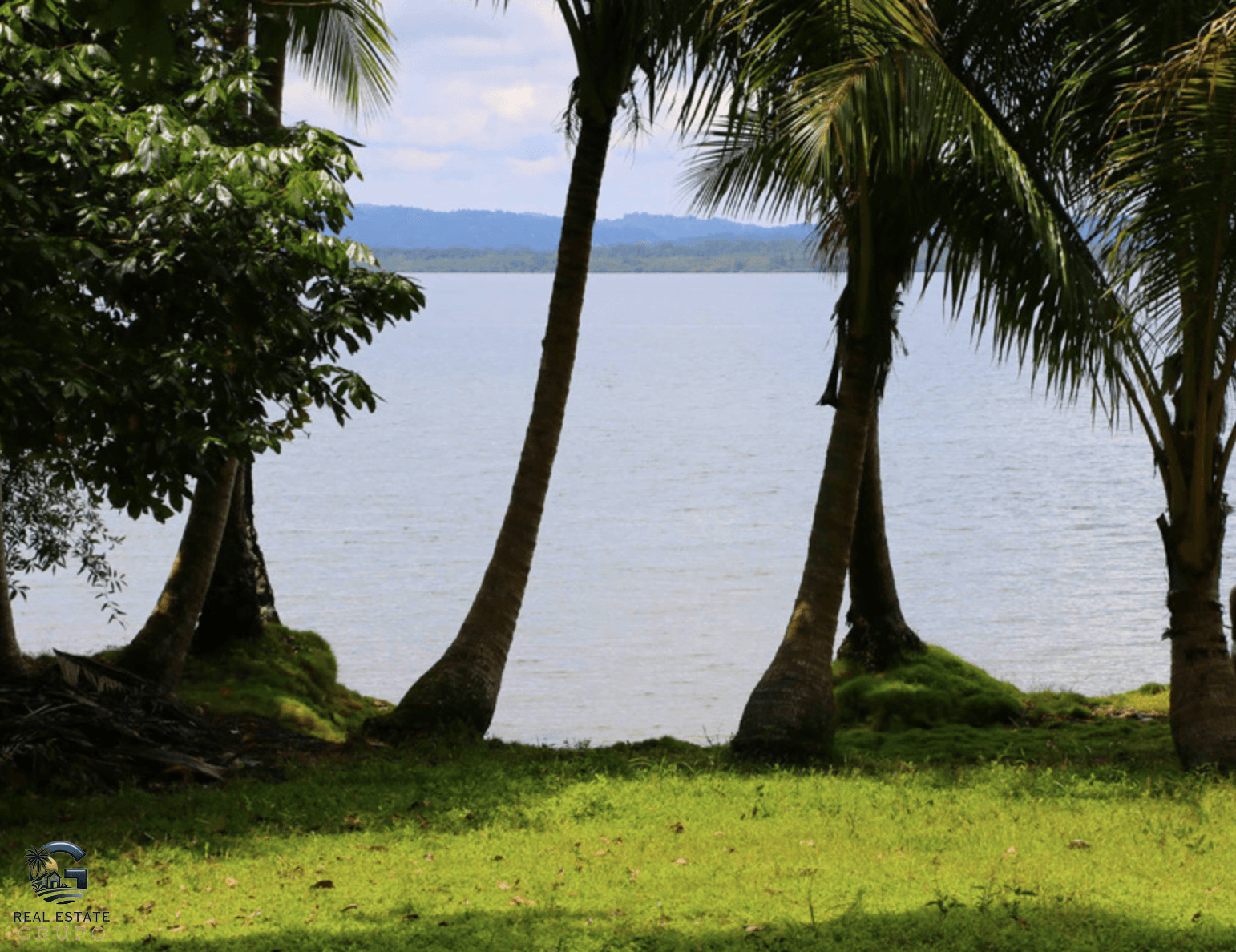 צילום מסך 2024-02-02 ב-11.38.32