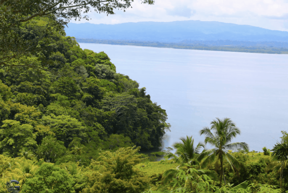 צילום מסך 2024-02-02 ב-11.38.45