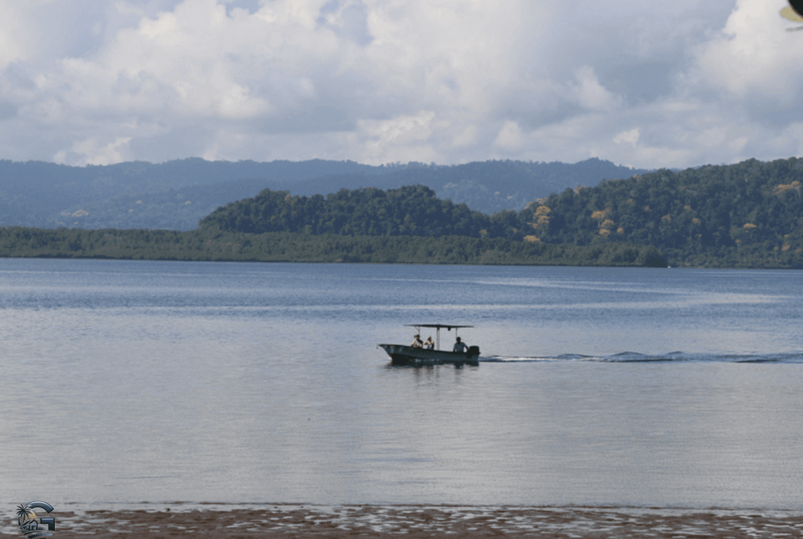 צילום מסך 2024-02-02 ב-11.38.49