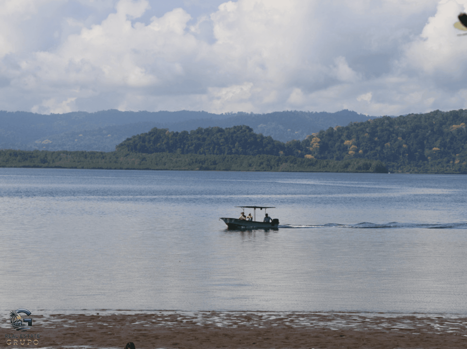 צילום מסך 2024-02-02 ב-11.38.49