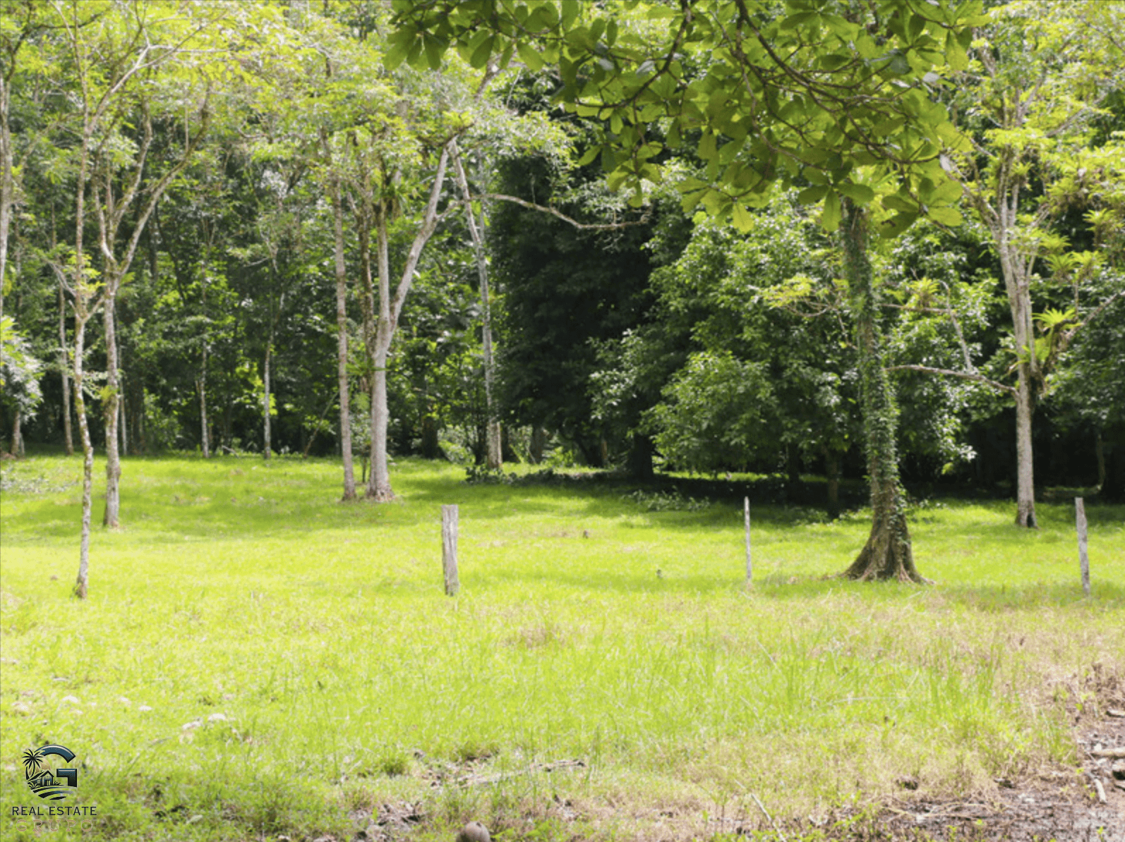 צילום מסך 2024-02-02 ב-11.38.54