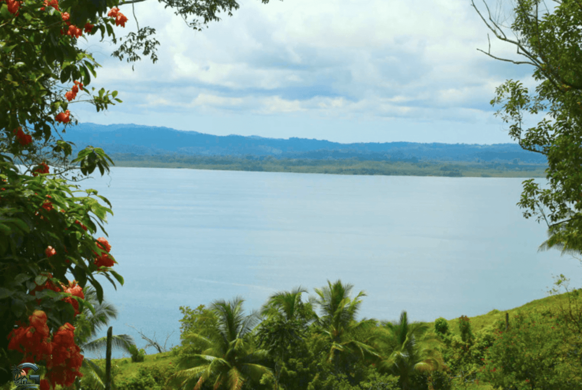 צילום מסך 2024-02-02 ב-11.39.11